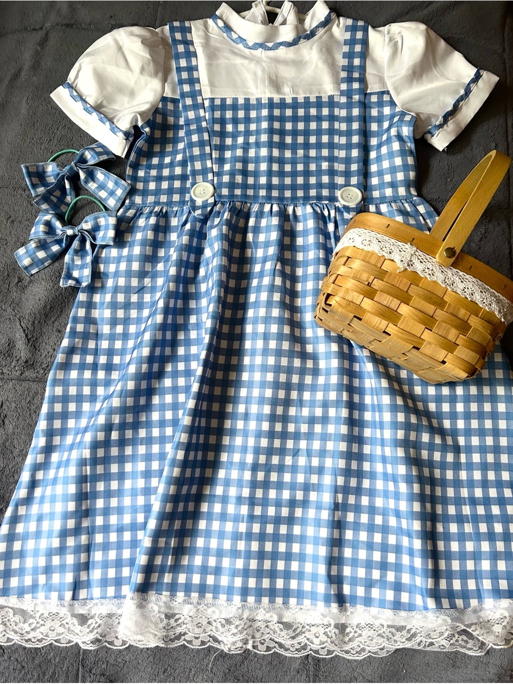 Dorothy Wizard of Oz Girls Costume